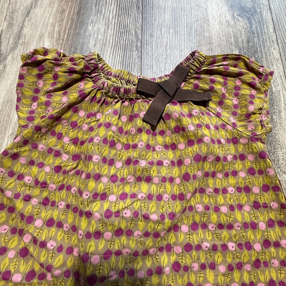 Baby Gap dress Green Purple Berry Print Cottagecore